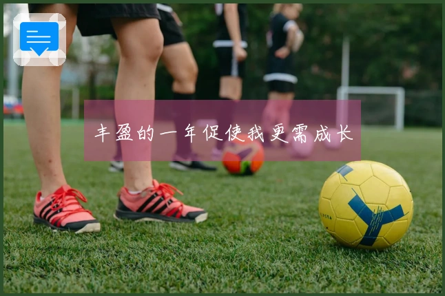 丰盈的一年促使我更需成长