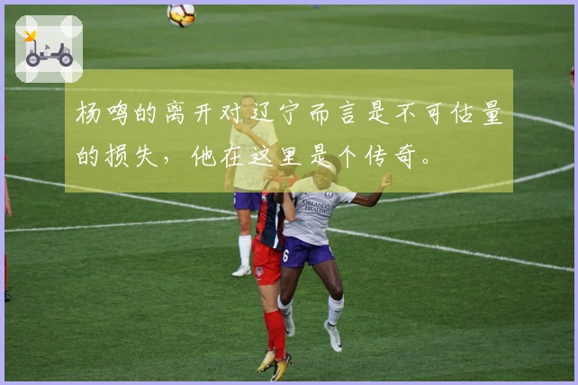 杨鸣的离开对辽宁而言是不可估量的损失，他在这里是个传奇。