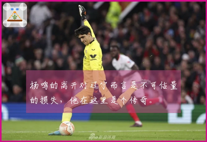 杨鸣的离开对辽宁而言是不可估量的损失,他在这里是个传奇。